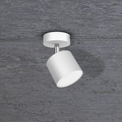 Levné svítidlo od značky Eko-Light bílá kov