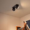 Levné svítidlo od značky Philips Hue černé kov