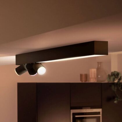 Levné svítidlo od značky Philips Hue černé plast/hliník