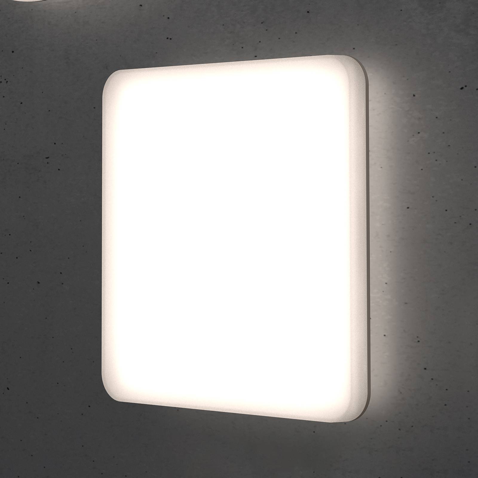 Levné světlo STEINEL RS PRO R20 Q plus SC LED stropní 3000K Levné svítidlo od značky STEINEL bílá/opálová plast/polykarbonát
