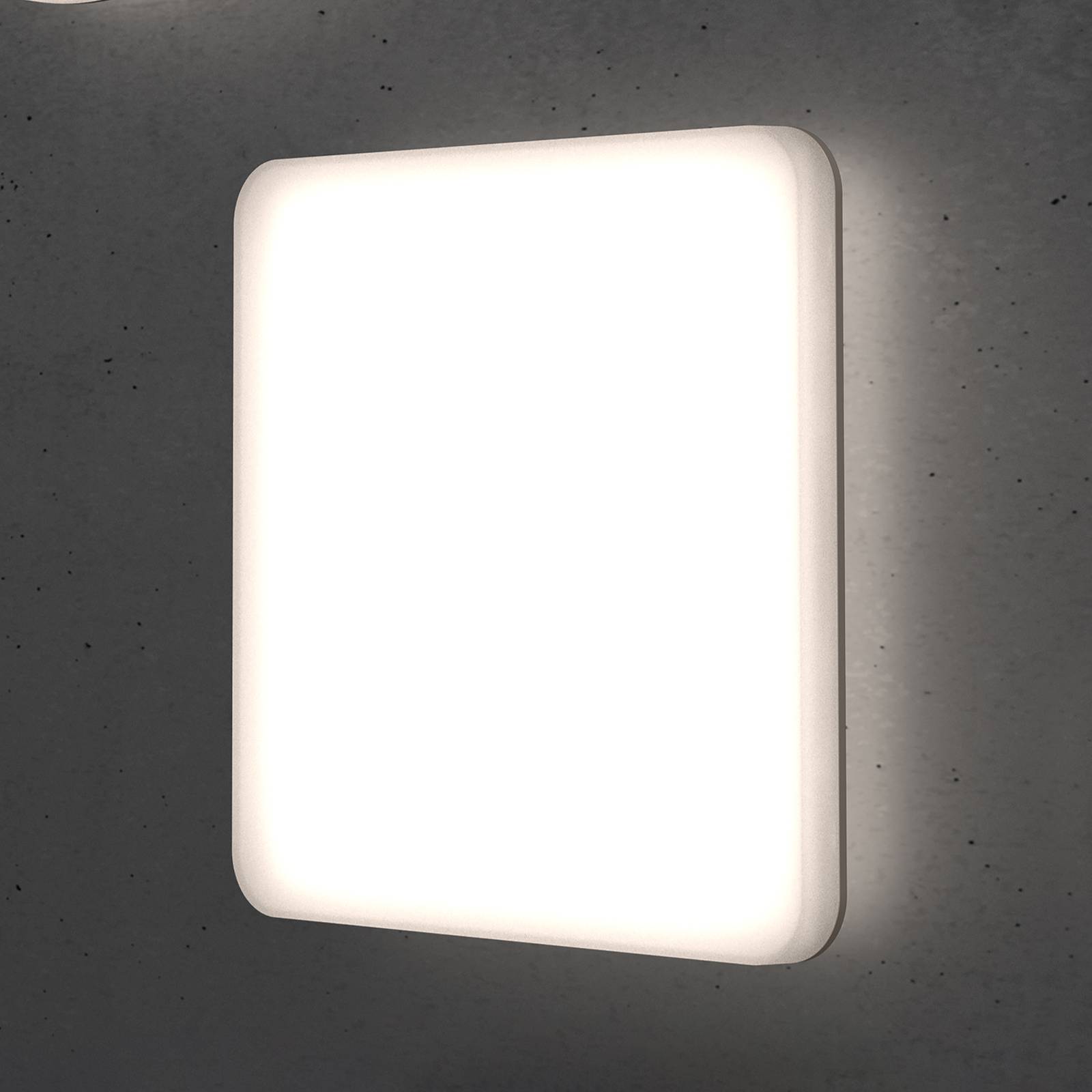 Levné světlo STEINEL RS PRO R20 Q plus SC LED stropní 4000K Levné svítidlo od značky STEINEL bílá/opálová plast/polykarbonát